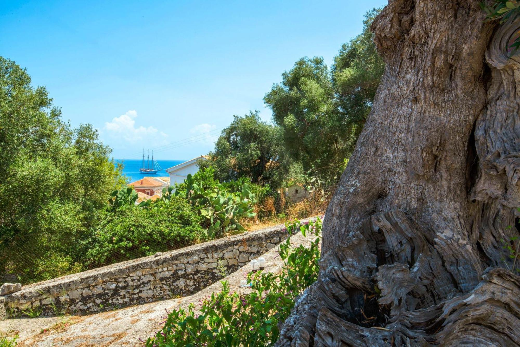 Sterna Studio Gaios Dış mekan fotoğraf